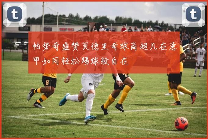 帕努奇盛赞莫德里奇球商超凡在意甲如同轻松踢球般自在