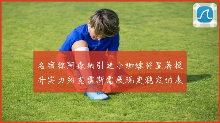 名宿称阿森纳引进小蜘蛛将显著提升实力约克雷斯需展现更稳定的表现