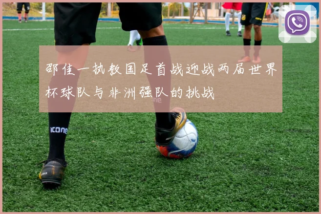 邵佳一执教国足首战迎战两届世界杯球队与非洲强队的挑战